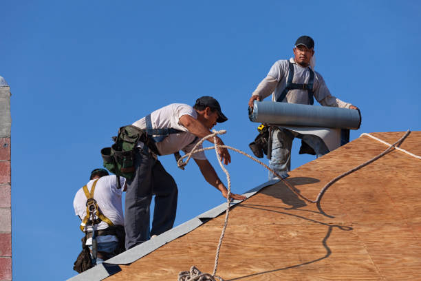 Best Local Roofing Companies  in Kaumakani, HI